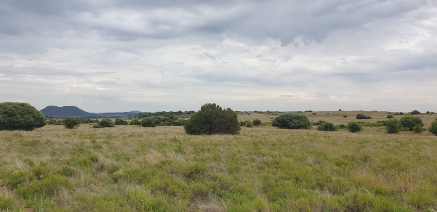 Commercial Property for Sale in Bloemfontein Rural Free State